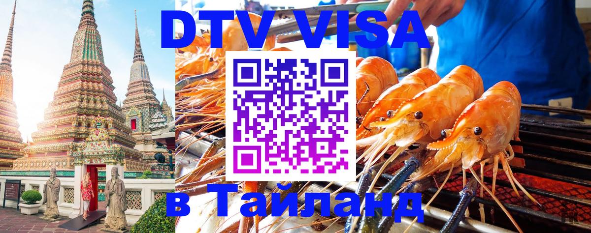 Оформление DTV визы под ключ: стоимость и тарифы, только загранпаспорт - 19.11.2025 